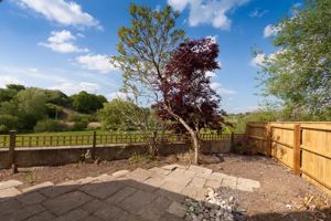 Garden- click for photo gallery